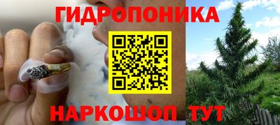 тгк Мариинск