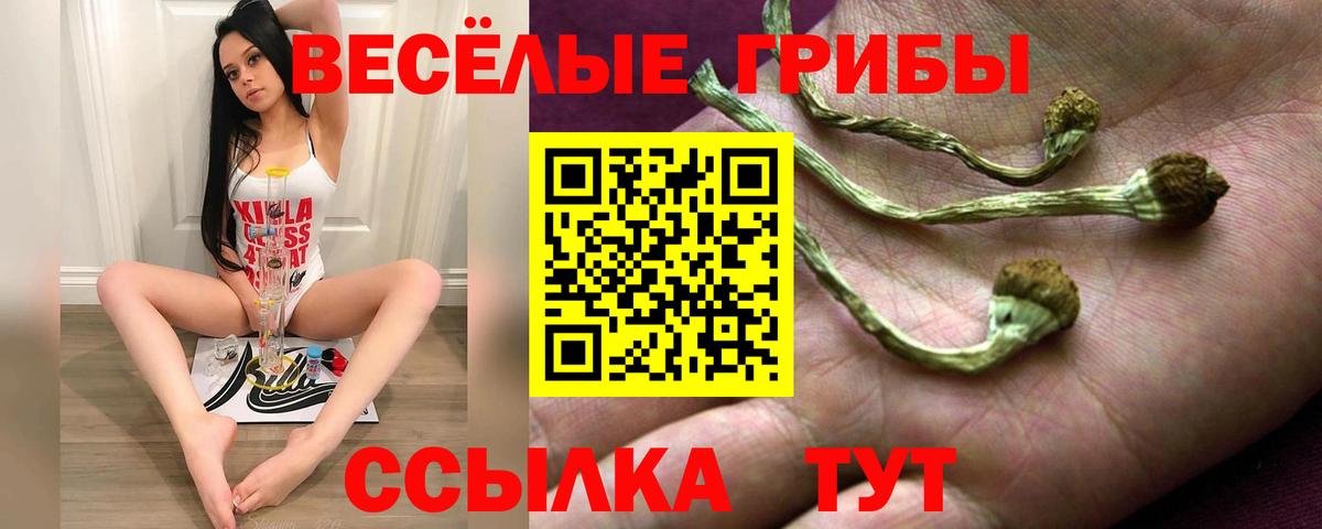 Галлюциногенные грибы Psilocybine cubensis  Вход с VPN  Псилоцибиновые грибы Magic Shrooms  Дмитров 